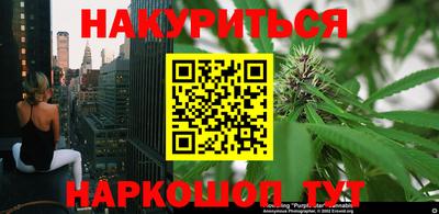 гидра Обь