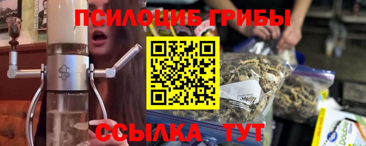 Галлюциногенные грибы мухоморы  Псилоцибиновые грибы мухоморы  Вход с VPN  Тольятти 