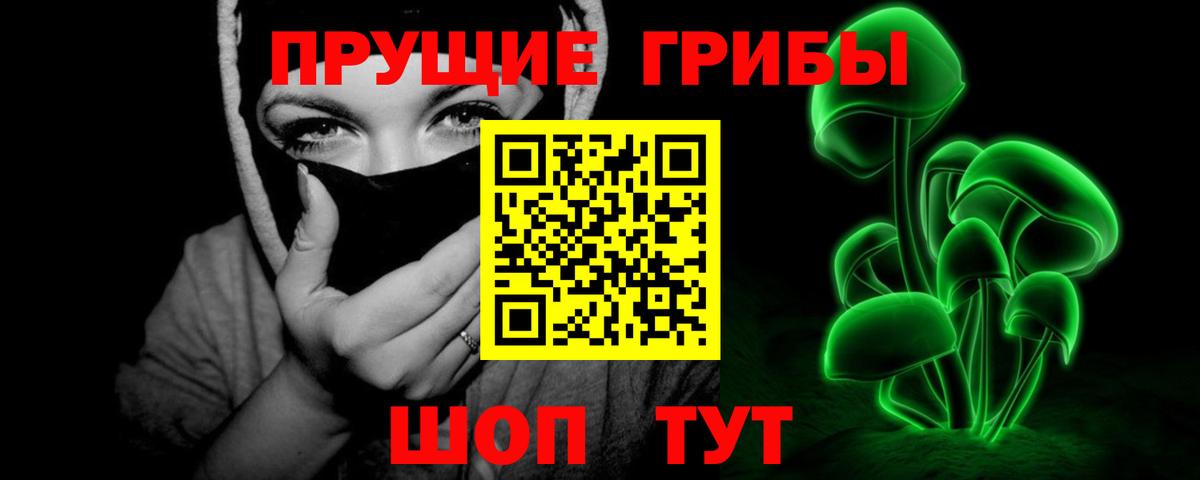Псилоцибиновые грибы GOLDEN TEACHER Тольятти
